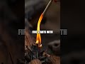 Coastal Real World Essentials Debris Shelter Fire and Forage Test