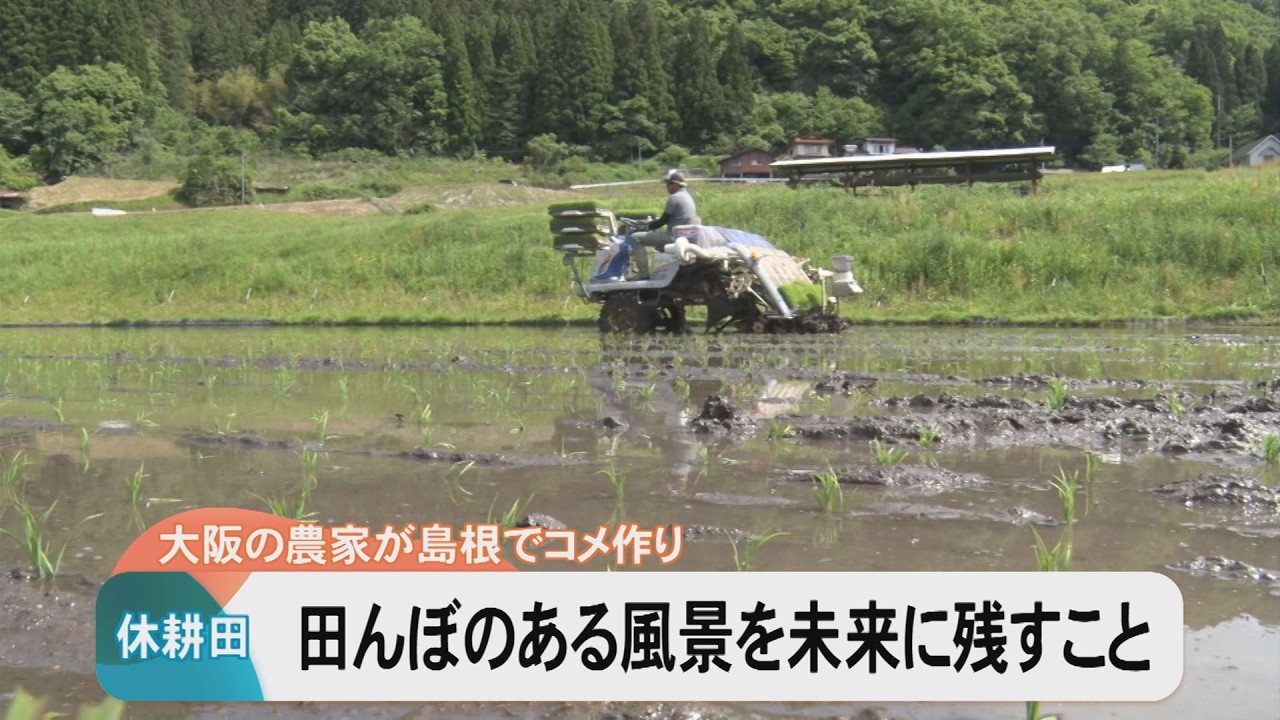休耕田を救え！大阪の農家が島根で田植え、稲刈り 2拠点での米づくりを可能にしたのは…地元農家との分業