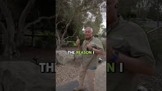 Front Entry Lighting Design Ideas || Transform Your Home Entrance with Outdoor Lighting