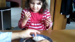 Lilys Birthday Cupcake
