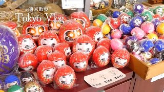 【Vlog】in Tokyo＿Solo Touristm🗼秋の1人東京観光🍁浅草⛩スカイツリー🏢美術館🖼