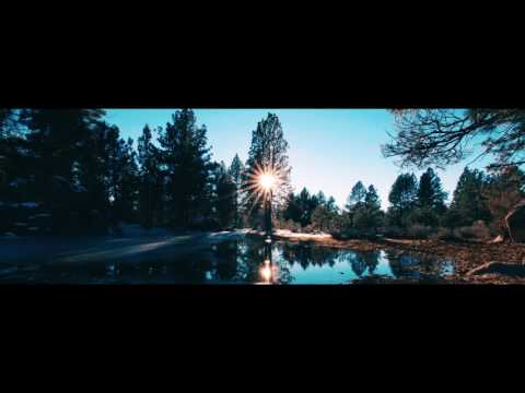 Pulsos - Ramona