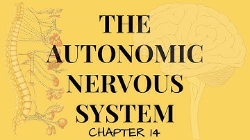 Chapter 14 The Autonomic Nervous System FULL Lecture
