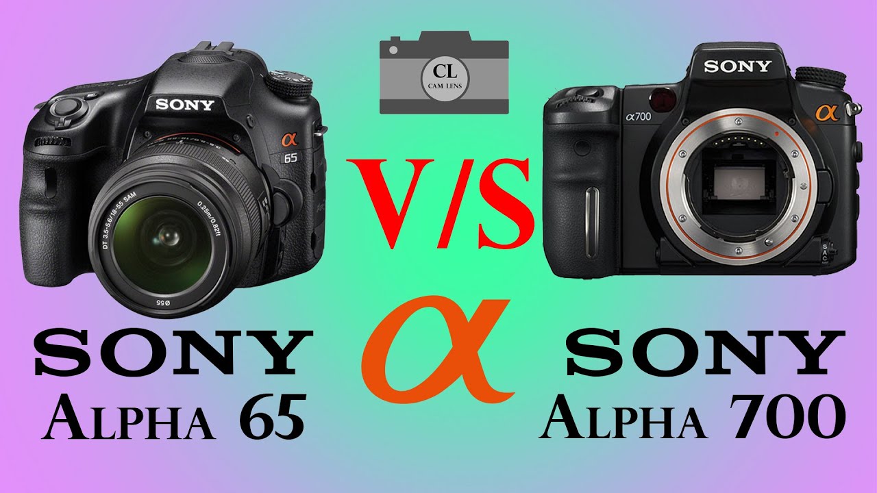 Sony Alpha 65 vs Sony Alpha 700