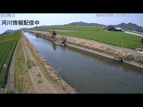 Chudenko Nakagawa live cam preview
