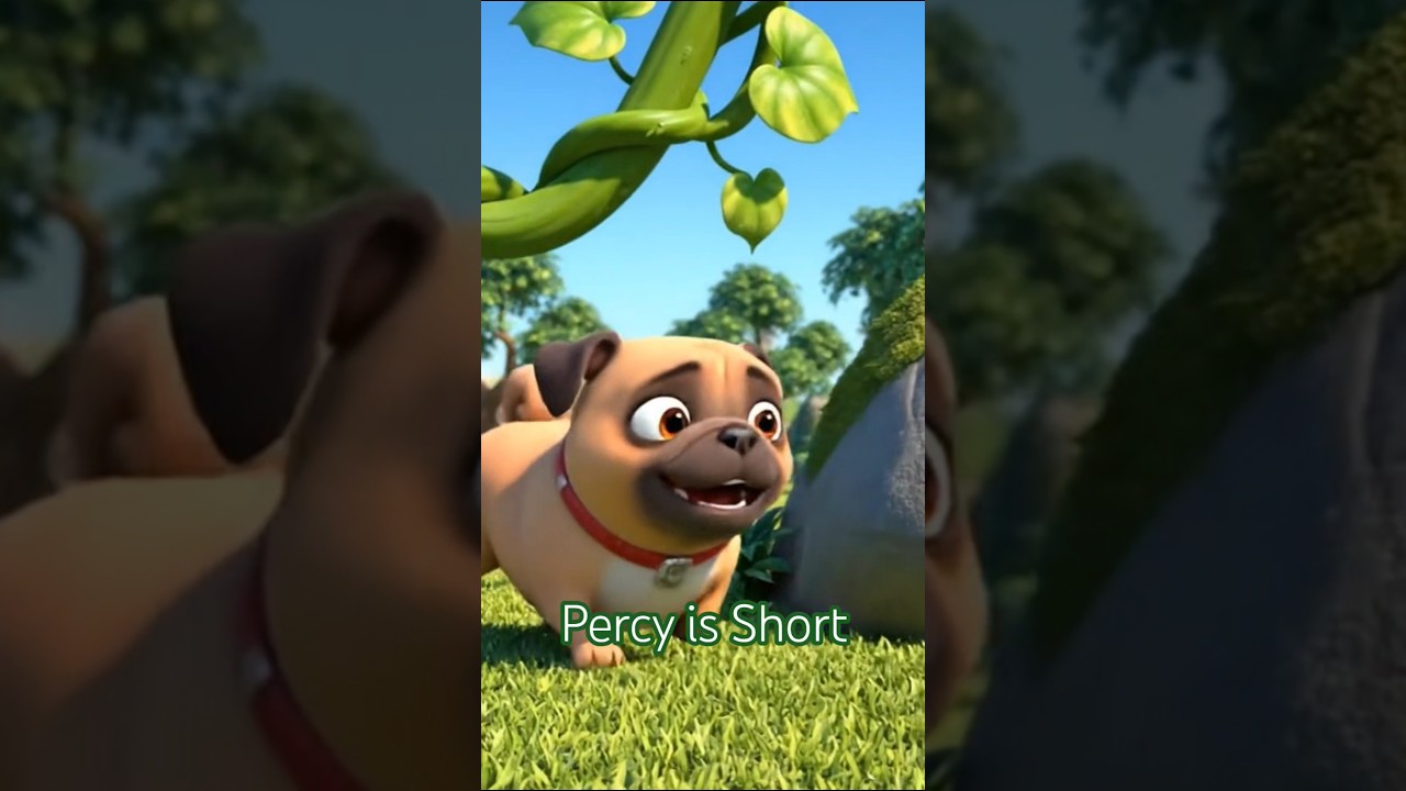 Size Explore the Short Percy! 