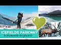 ICEFIELDS PARKWAY : LE PLUS BEAU DES VOYAGES