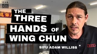 3 Hands of Wing Chun (Tan, Fook & Bong)