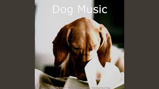 Simplistic Ambiance for Training Your Dog