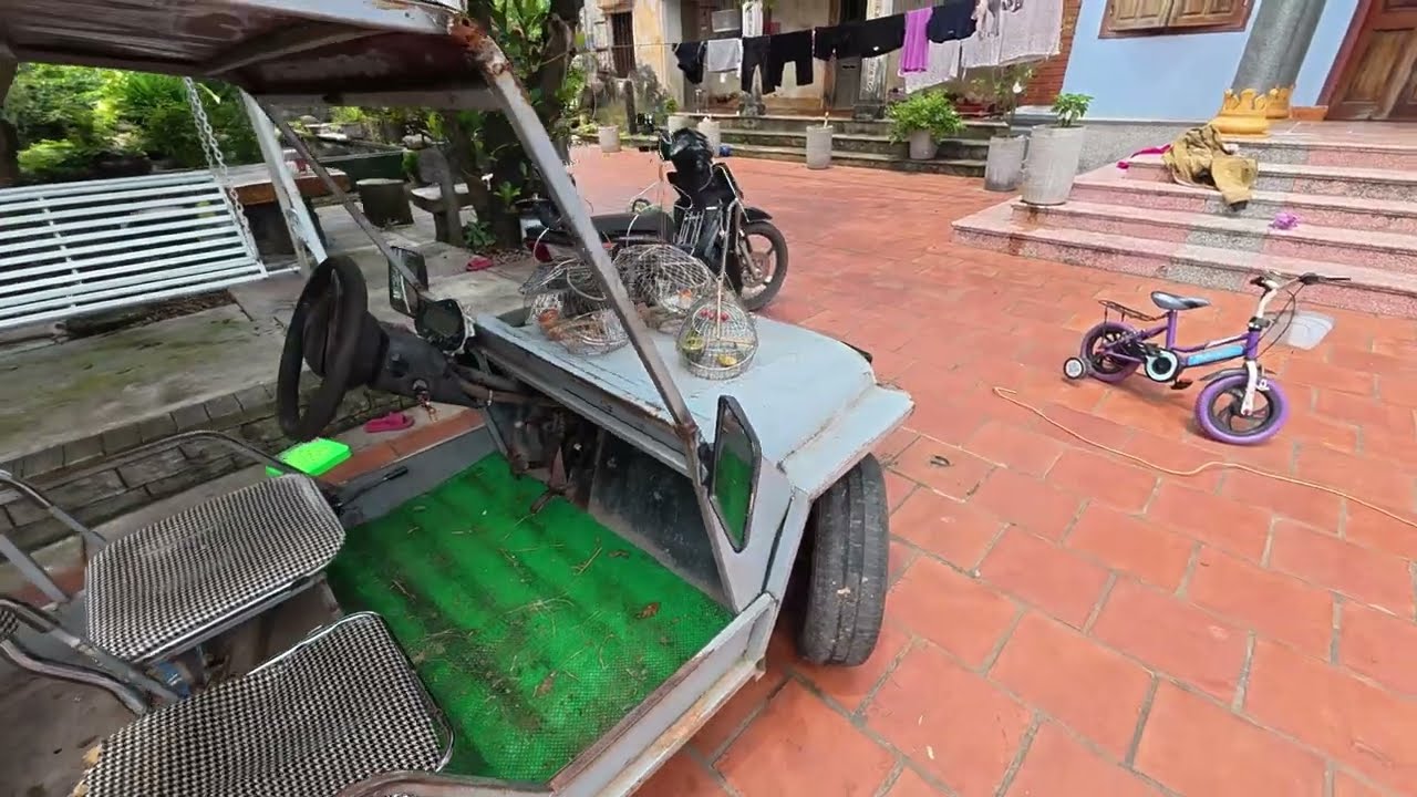 Chào mào Hổ Báo Và Cái Kết - Yêu chim cảnh