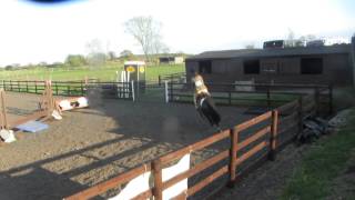 NORTHERN FANCIE FREE