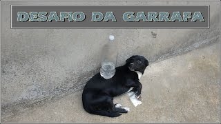 Desafio Da Garrafa - Water Bottle Challenge