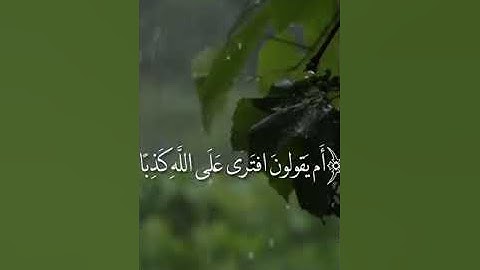 تلاوة من سورة الجاثية للقارئ: محمد بن علي المقحم