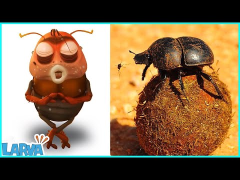 Brown's Long-lost Brother ? Repulsive Cartoon Compilation | Larva Heroes