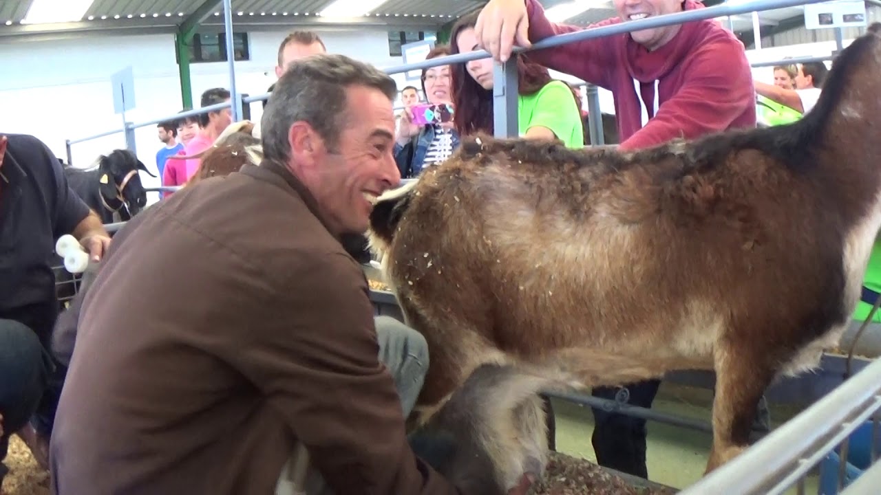 FEAGA 2015---fuerteventura  14