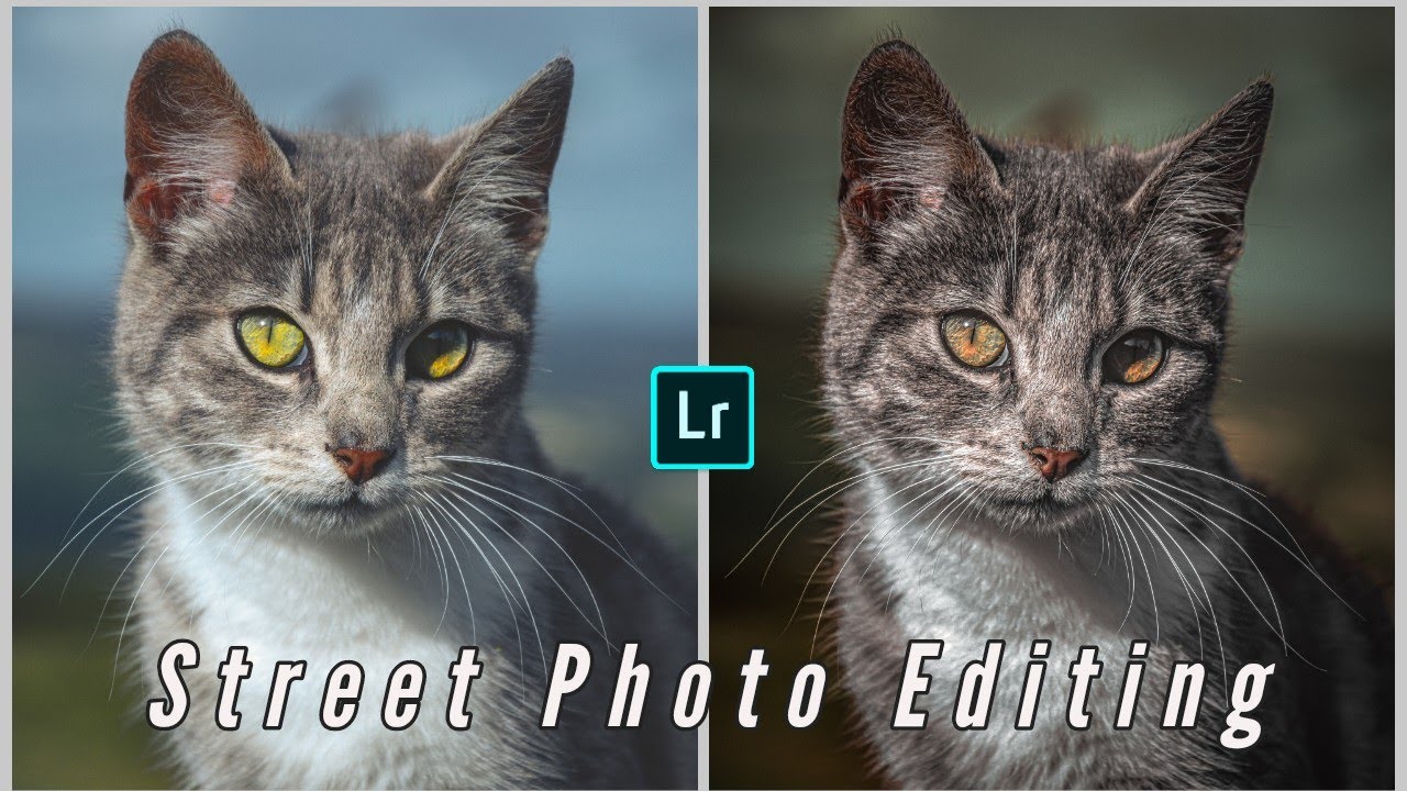 Mobile Cinematic Editing Android (Lightroom)| Lightroom Cinematic Photo Editing |