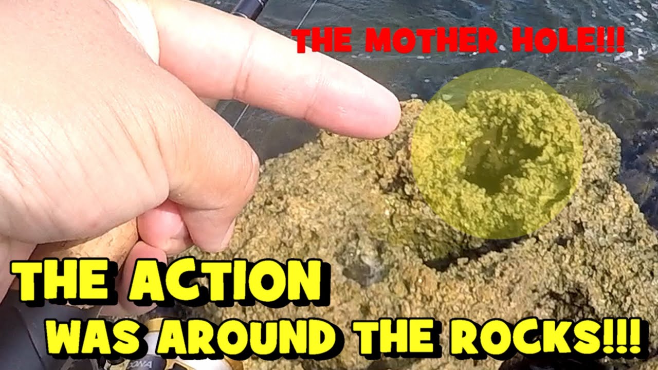 Появляется НЕОЖИДАННЫЙ НОВЫЙ ВИД (?!)...