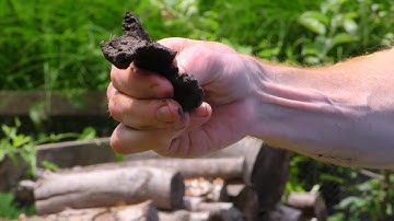 ISA Best Practice  Soil Texture - TreeNewal