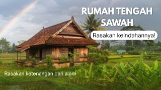 Download Lagu BIKIN BETAH.. SAUNG  BAMBU TENGAH SAWAH DI KELILINGI KOLAM IKAN ‼️ MP3 Download Lagu BIKIN BETAH.. SAUNG  BAMBU TENGAH SAWAH DI KELILINGI KOLAM IKAN ‼️ MP3