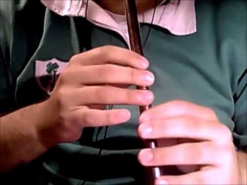 Chords For Peg O My Heart Tin Whistle Cover Version By The