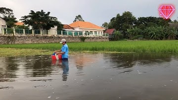 Miền tây mùa nước nổi