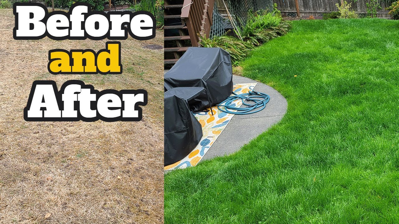 2025 Matthews Beach Fall Lawn Tune-Up | Clay Soil Fix with Lime, Soil Amendments & Wetting Agent