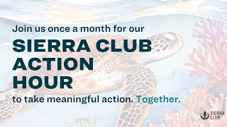 May Virtual Action Hour for Endangered Species Month