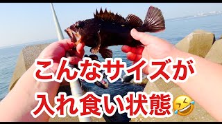 金沢水際線緑地〔旧福浦岸壁〕より根魚爆釣りの聖地