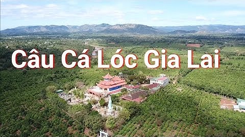 CÙNG HVA FROG CHINH PHỤC CÁ LÓC VIỆT NAM P5 câu cá lóc Snakehead fishing