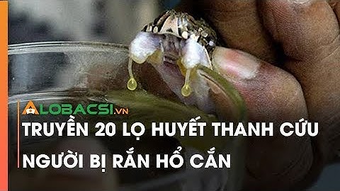 Truyền 20 lọ huyết thanh cứu người bị rắn hổ cắn