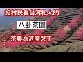 邊看邊哭[台灣八卦茶園]影片 陸茶農婦人感動了感謝巧娘[真人拍攝]影片說：以前都不信台灣那麼好❗️深感兩岸茶農差太大