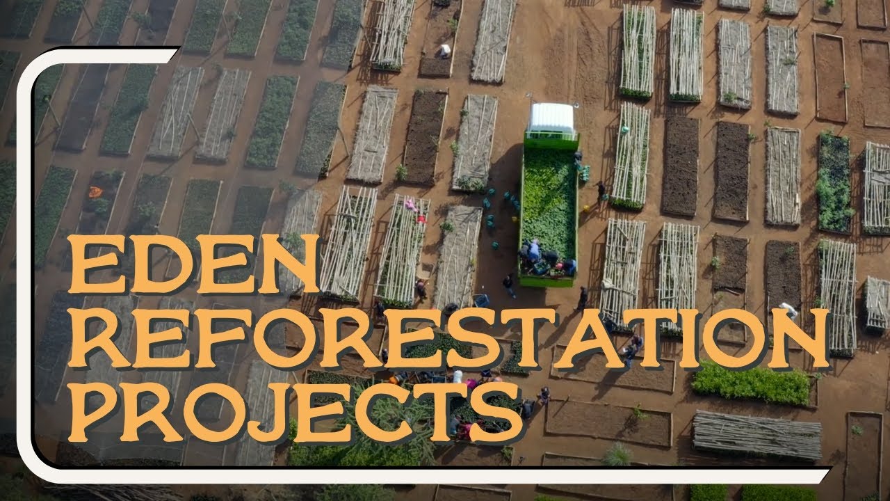 Eden Reforestation Projects Business Partners