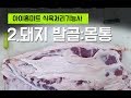 식육처리기능사_몸통발골_미트마스터1