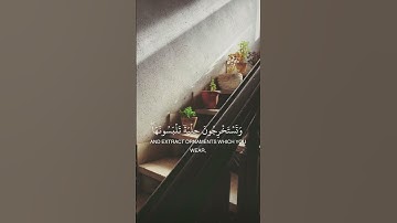 سورة فاطر القارئ عاصم بني خالد