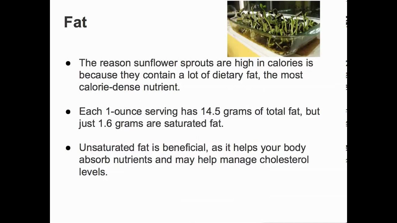 Sunflower Sprouts Nutrition YouTube