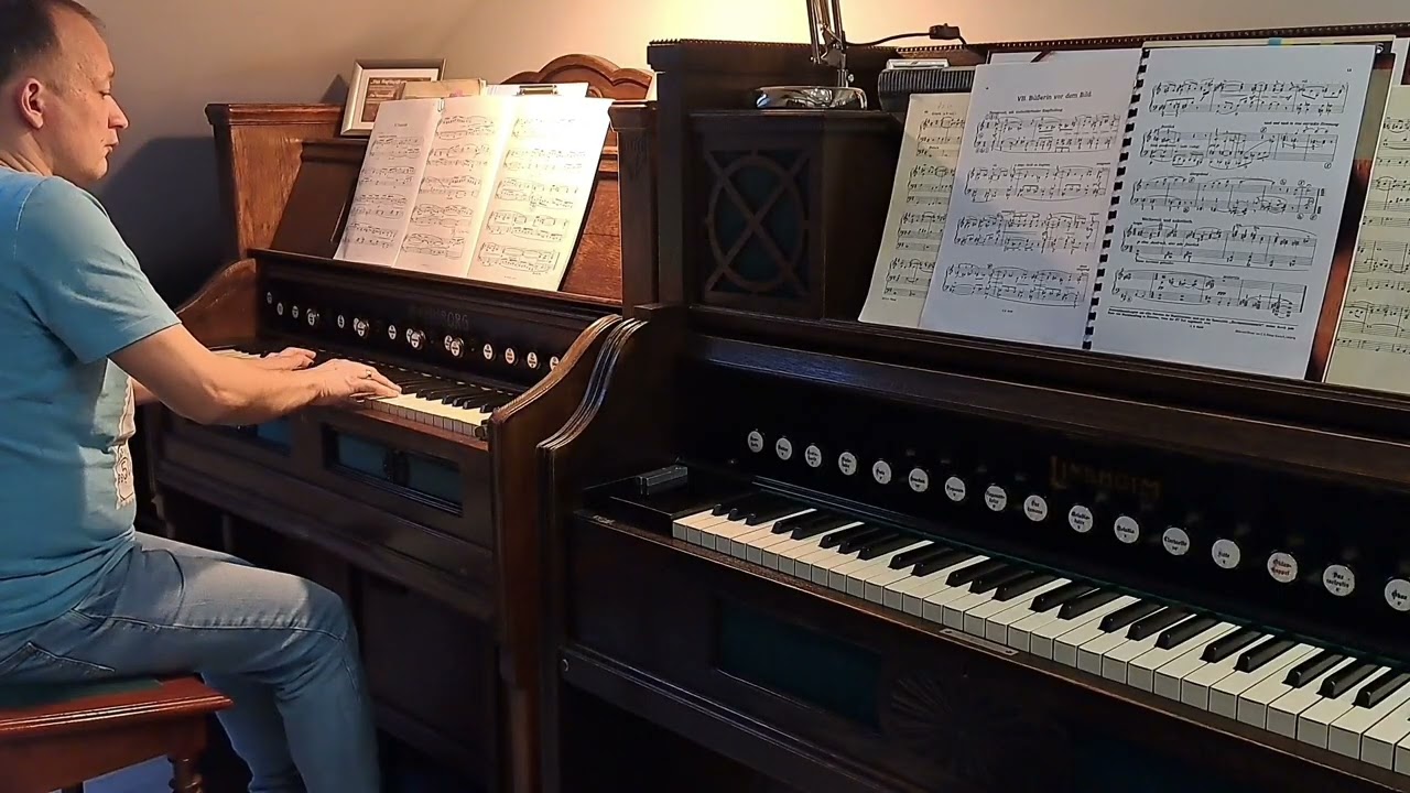 Gustaf Hägg (1867 - 1925) -  "Pastorale" from "6 Lätta Tonbilder" Op. 32 Mannborg Normalharmonium.