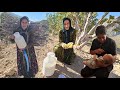 Hajar Falls in the Mountains; A Tragic Incident on Her Way Back to Her Children