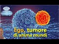 Ego tumore di anima mundi  cooperazione aurea ed evolutiva