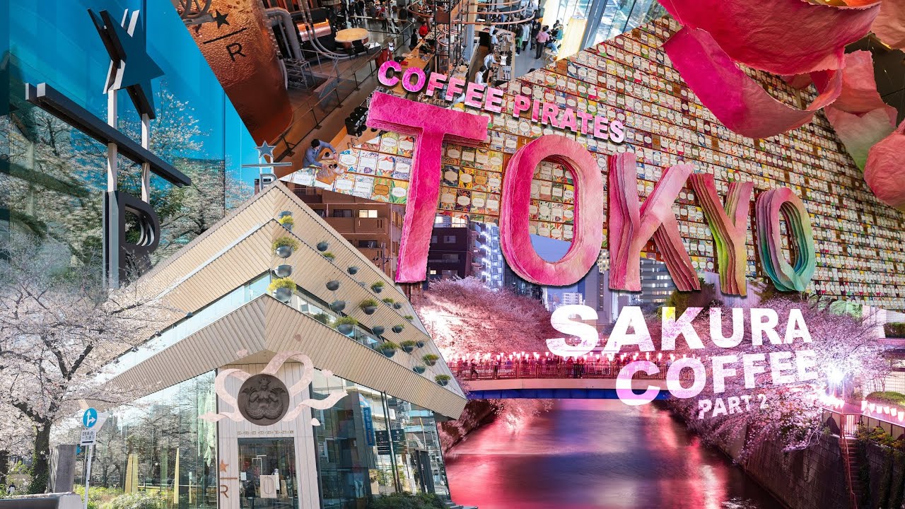 STARBUCKS Reserve with the BEST CHERRY BLOSSOM View In the World