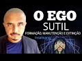 O EGO SUTIL : FORMAÇÃO, MANUTENÇÃO E EXTINÇÃO ( INSAITSANG)