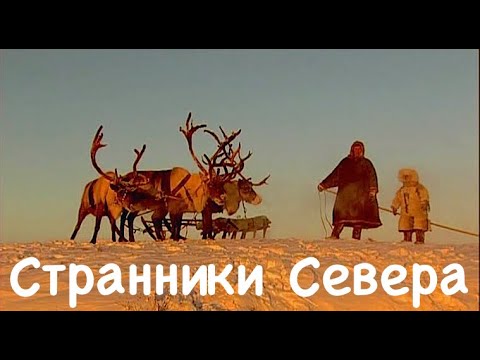 Странники Севера