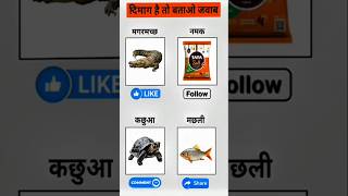 Dam hai to jabab batao.#viral #quizzes #gkquestion #mindtest #tranding #quizz #viralvideo #viral