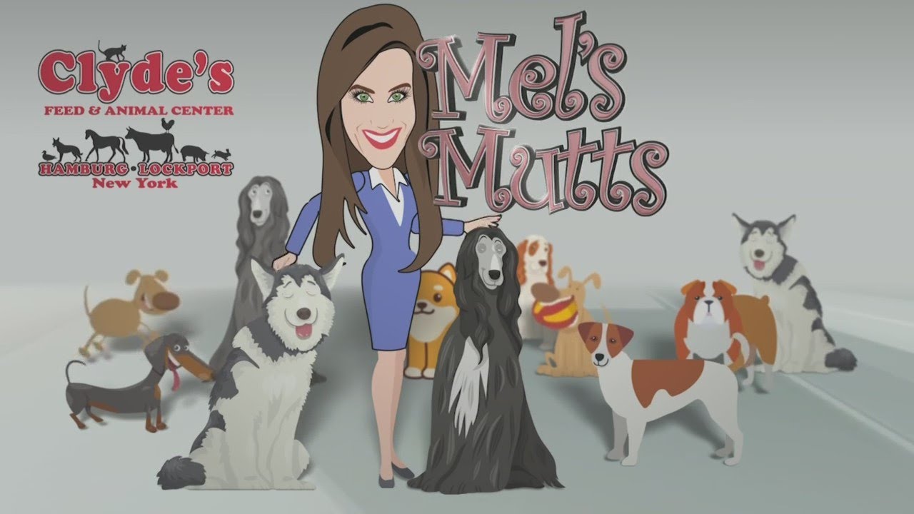 Mel's Mutts: Gypsy