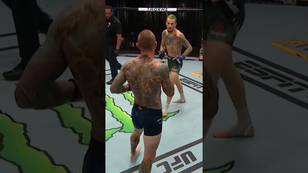 the sugar show🥊🔥 