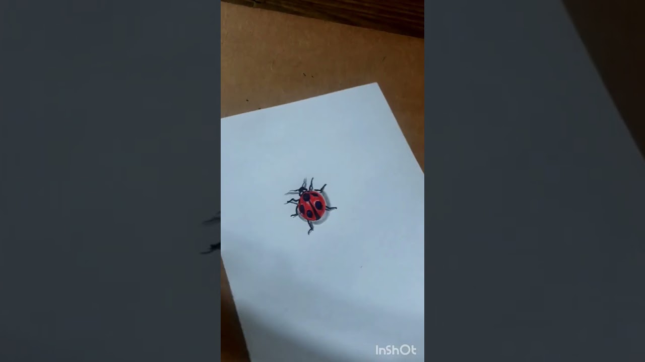 realistic 3d bug drawing🤯