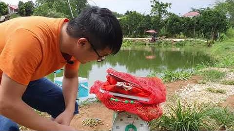 Kết quả mini game buổi đi câu ngày 13/6/2021 - Ngọc Biển Fishing