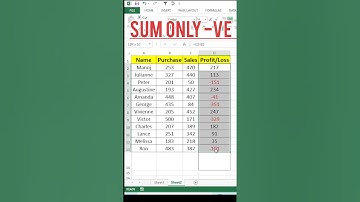 How to Sum Only Negative Numbers in Excel - Easy Tutorial #excel #excelsolutions