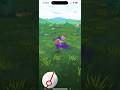 Pokemon GO - Shadow Bunnelby (iPhone 15 Pro Max) Pokémon GO #mmtopokemongo