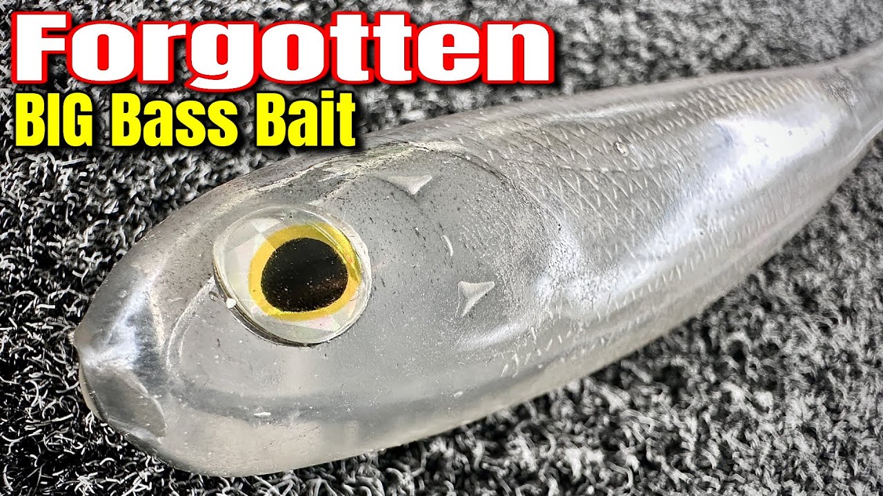 Catch BIG Fish with These OVERLOOKED Swimbaits