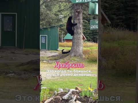 #отношения #психология #психолог